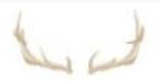 Lucite Holder with Notes - Antlers