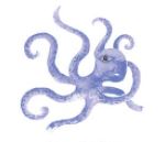 Lucite Holder with Notes - Octopus Blue