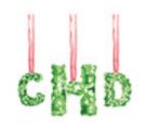 Lucite Holder with Notes - Holiday Boxwood Monogram