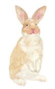 Lucite Holder with Notes - Bunny