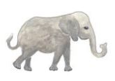 Lucite Holder with Notes - Elephant