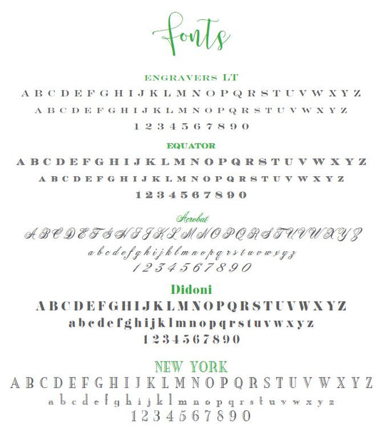 Lucite Holder with Notes - Green Plane