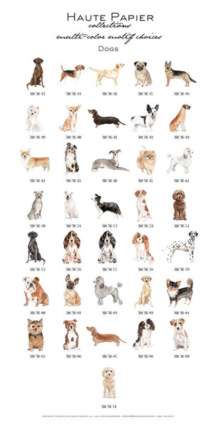 Folded Note - D35 Dog