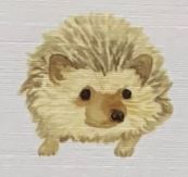 Lucite Holder with Notes - Hedgehog