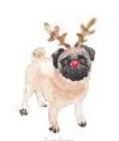 Lucite Holder with Notes - Holiday Pug
