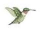 Lucite Holder with Notes - Hummingbird