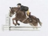 Lucite Holder with Notes - Hunter Jumper
