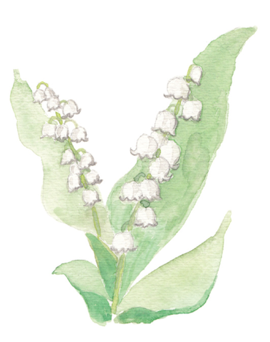 Lucite Holder with Notes - Lily of the Valley