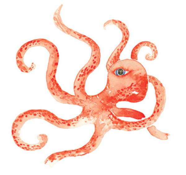 Lucite Holder with Notes - Octopus Orange