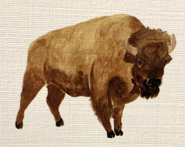 Lucite Holder with Notes - Bison