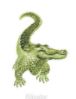 Lucite Holder with Notes - Gator
