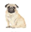 Lucite Holder with Notes - Pug