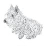 Lucite Holder with Notes - Westie