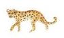Lucite Holder with Notes - Leopard