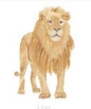 Lucite Holder with Notes - Lion