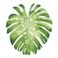 Lucite Holder with Notes - Monstera Leaf