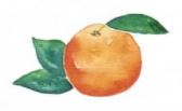 Lucite Holder with Notes - Orange