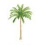 Lucite Holder with Notes - Palm Tree
