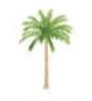 Lucite Holder with Notes - Palm Tree