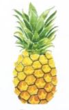 Lucite Holder with Notes - Pineapple