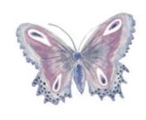 Lucite Holder with Notes - Butterfly Purple
