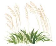 Lucite Holder with Notes - Sea Grass