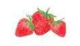 Lucite Holder with Notes - Strawberries