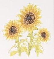 Lucite Holder with Notes - Sunflowers