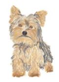 Lucite Holder with Notes - Yorkie