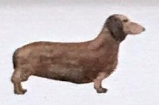 Lucite Holder with Notes - Dachsund